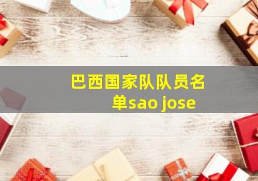 巴西国家队队员名单sao jose